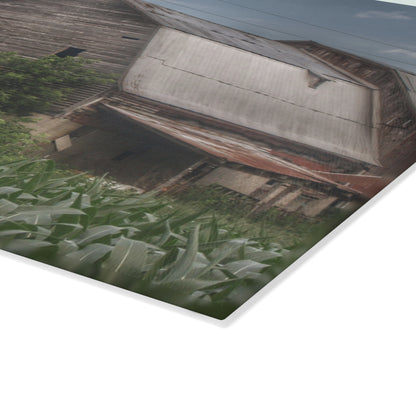 U R There Photography Murphy Lake Road Grey II Rustic Farmhouse Tempered-Glass Cutting Board