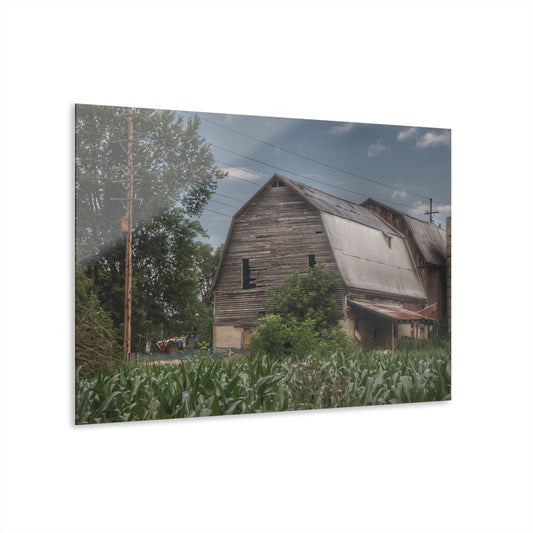 U R There Photography Murphy Lake Road Grey lI Rustic Farmhouse Acrylic Wall Print