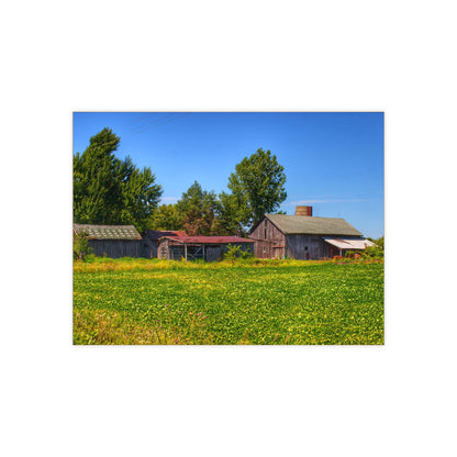 U R There Photography Birch Run Road Greys I Rustic Farmhouse Decorative Ceramic Tile