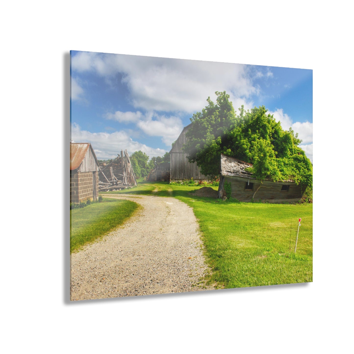 U R There Photography Brown City Road Barn and Buddy II Rustic Farmhouse Acrylic Wall Print