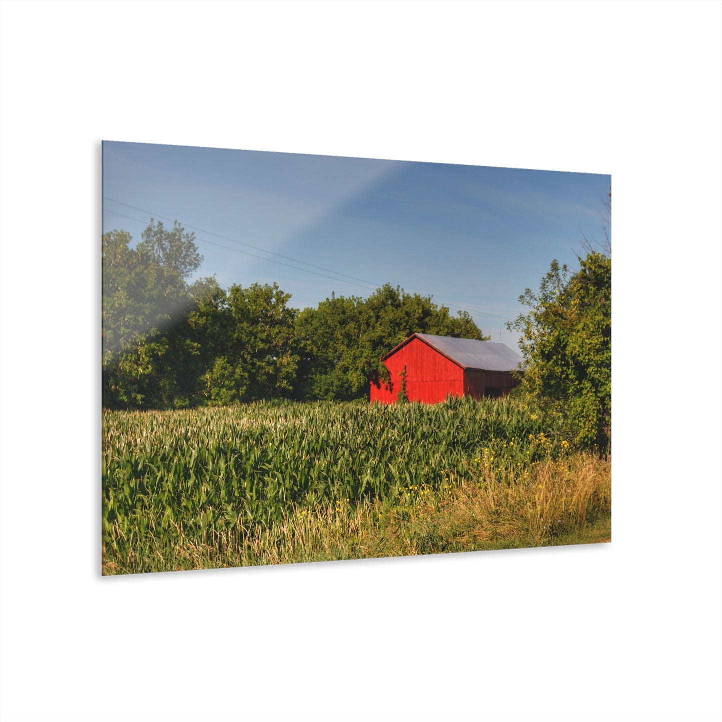 U R There Photography Willard Road Red II Rustic Farmhouse Acrylic Wall Print