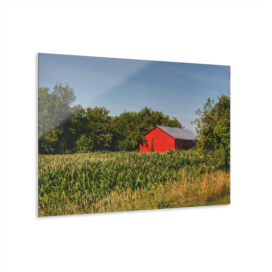 U R There Photography Willard Road Red II Rustic Farmhouse Acrylic Wall Print