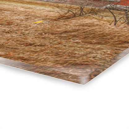 U R There Photography Mound Road Reds and Silo Rustic Farmhouse Acrylic Wall Print