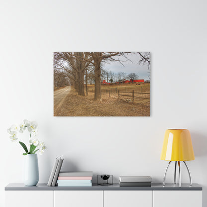 U R There Photography Wilder Road Cow Farm Rustic Farmhouse Acrylic Wall Print