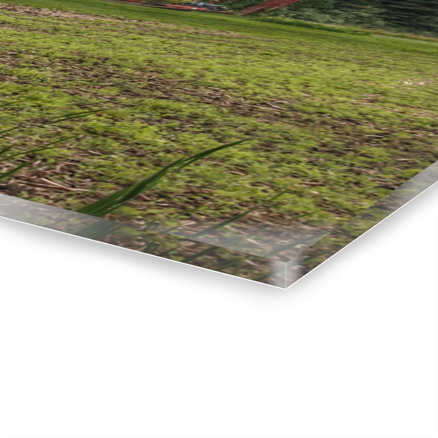 U R There Photography Murphy Lake Road Reds Rustic Farmhouse Acrylic Wall Print