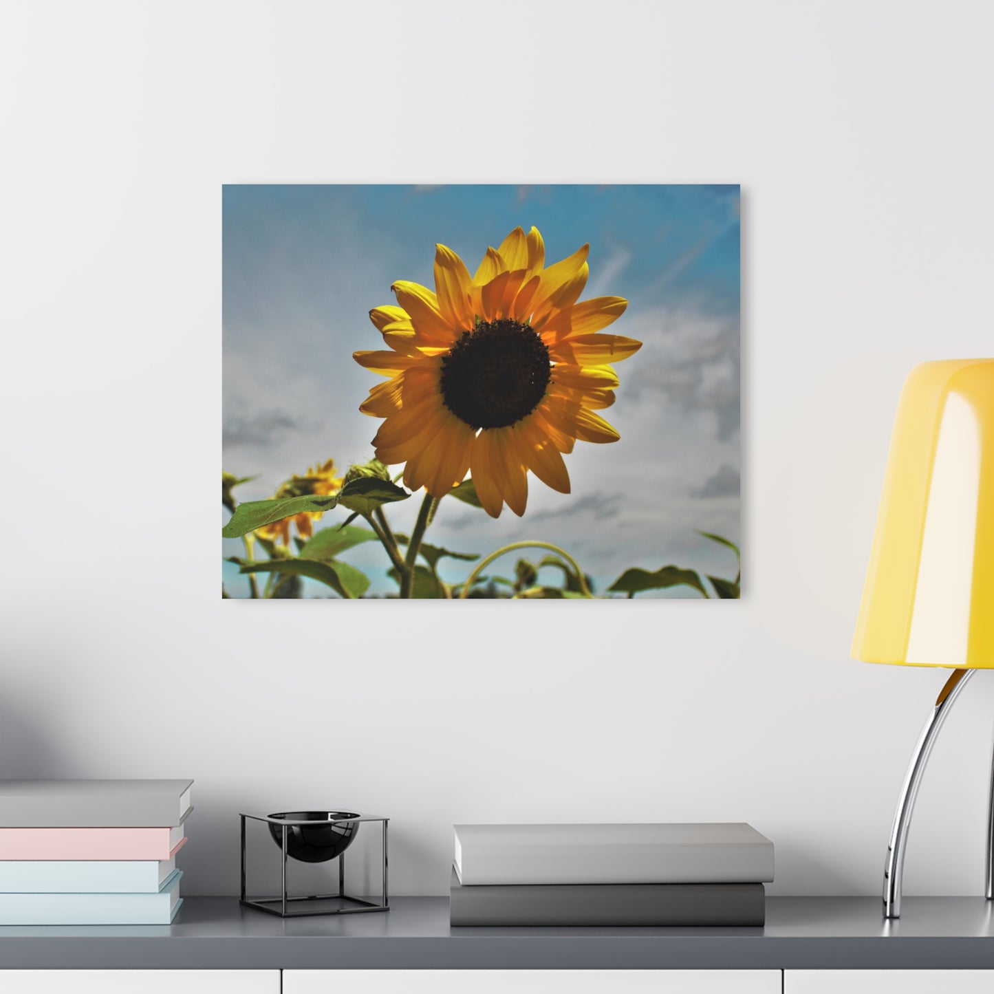 U R There Photography Awakening Sunflower Rustic Farmhouse Acrylic Wall Print