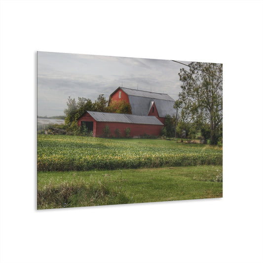 U R There Photography West Dodge Road Reds Rustic Farmhouse Acrylic Wall Print