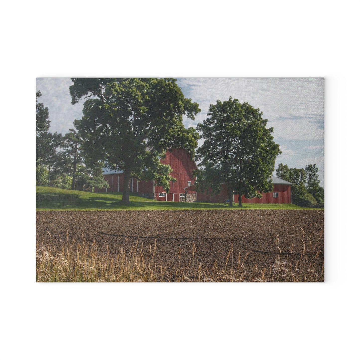 U R There Photography Catlin Road Red II Rustic Farmhouse Tempered-Glass Cutting Board