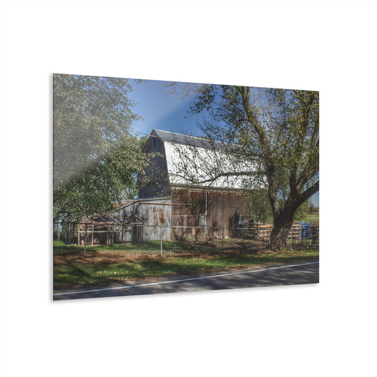 U R There Photography Birch Run Road Grey Rustic Farmhouse Acrylic Wall Print