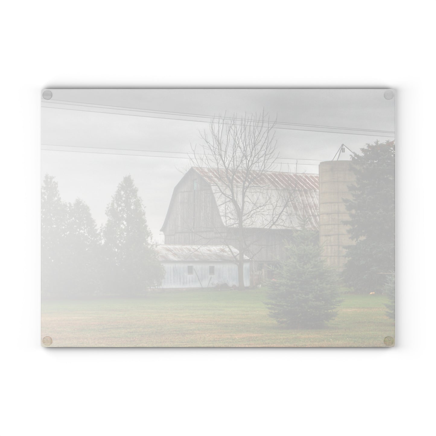 U R There Photography Eddy Road Grey I Rustic Farmhouse Tempered-Glass Cutting Board