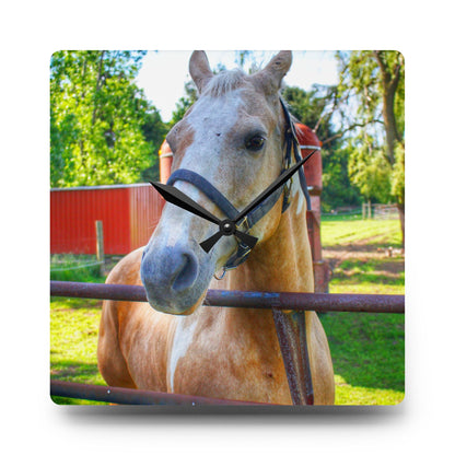 U R There Photography White Cream Mare of Hollenbeck Rustic Farmhouse Acrylic Analog Wall Clock