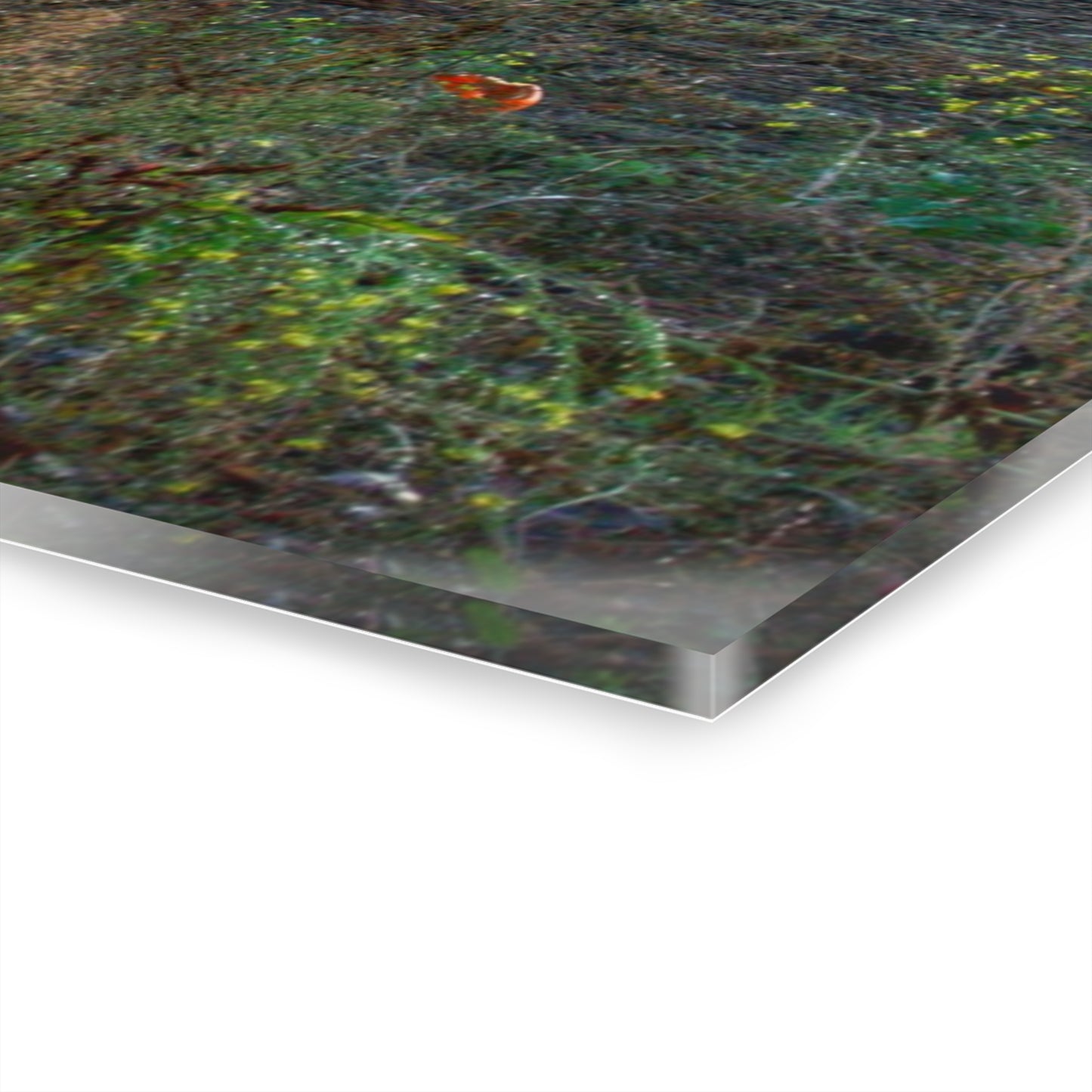 U R There Photography Five Lakes Pumpkins Rustic Farmhouse Acrylic Wall Print