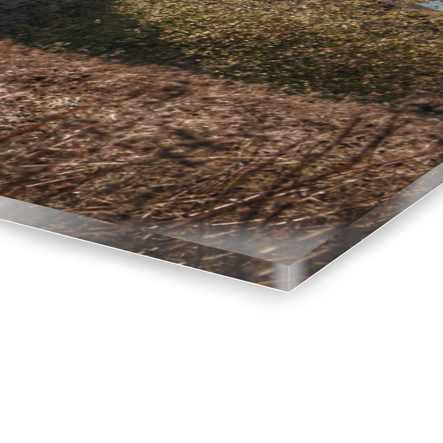 U R There Photography Fulmer Road Greys Rustic Farmhouse Acrylic Wall Print