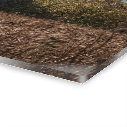 U R There Photography Fulmer Road Greys Rustic Farmhouse Acrylic Wall Print