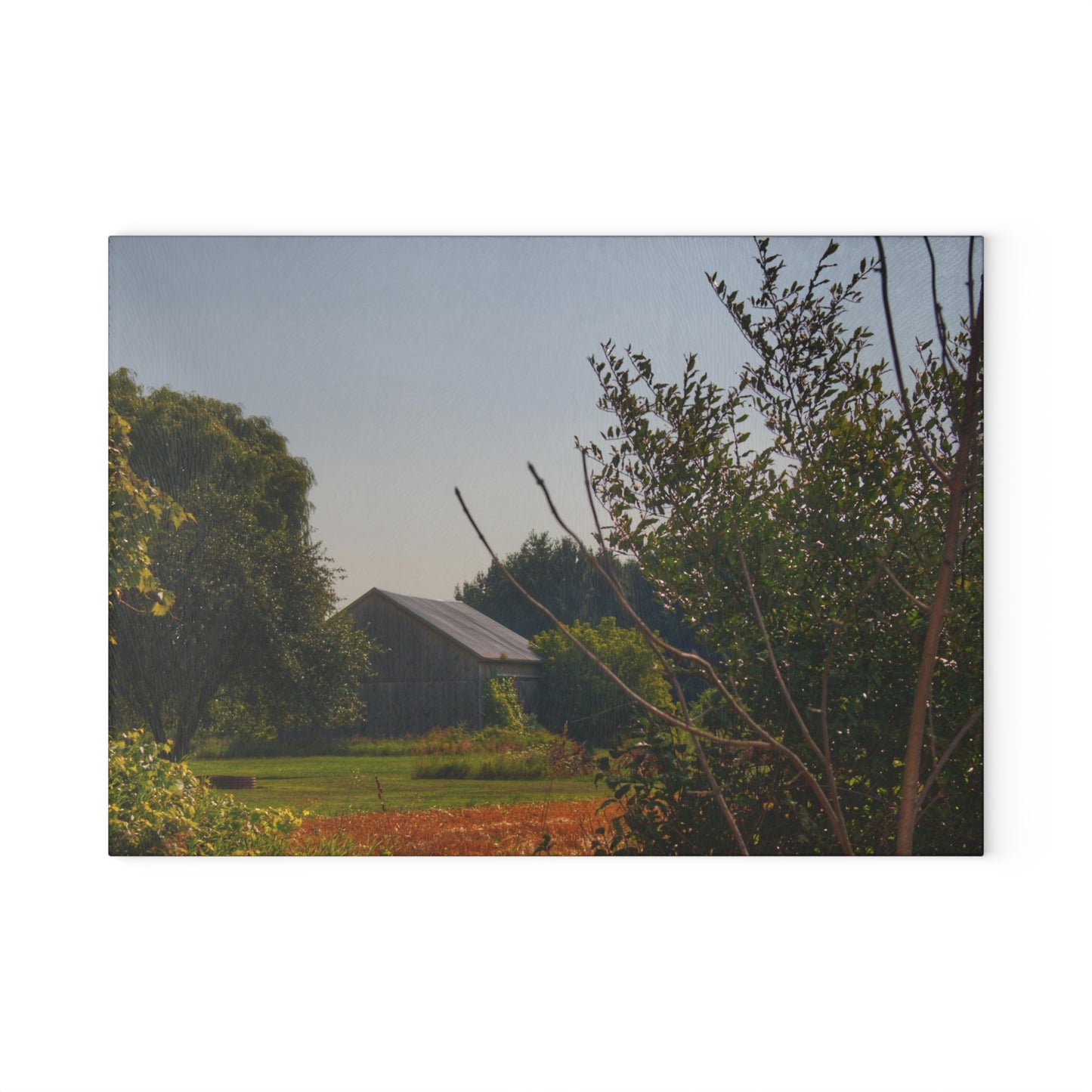 U R There Photography Clifford Hidden Grey Rustic Farmhouse Tempered-Glass Cutting Board