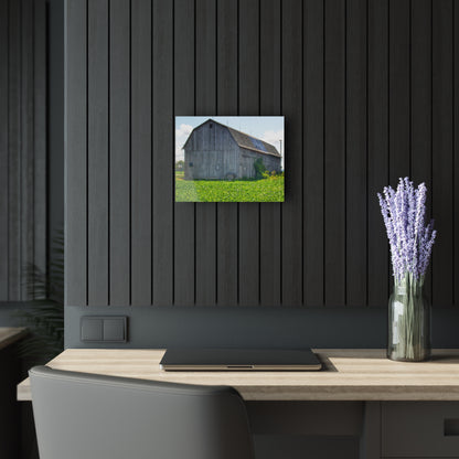 U R There Photography Morning Roadside Grey Rustic Farmhouse Acrylic Wall Print