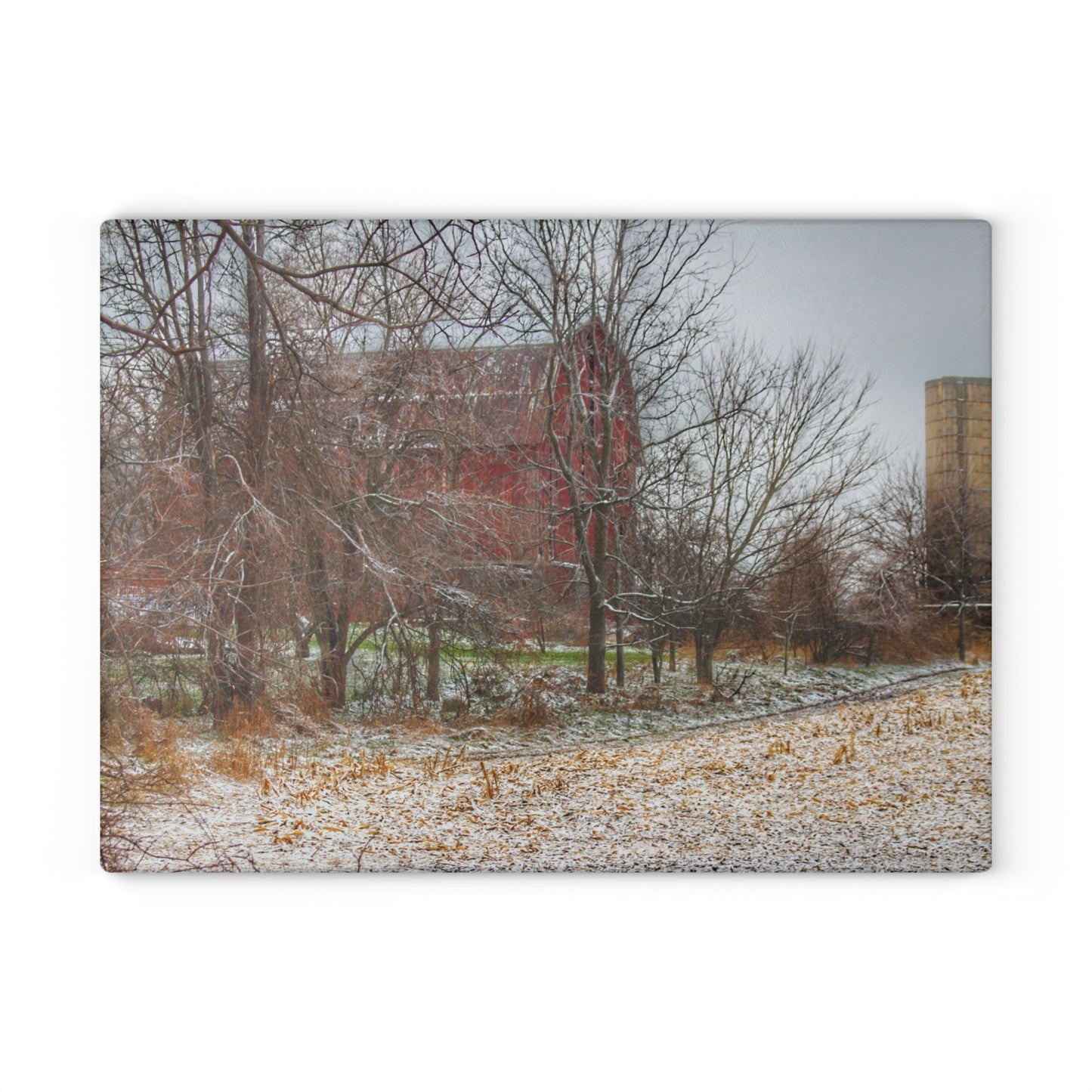 U R There Photography Hough Road Hidden Winter Red II Rustic Farmhouse Tempered-Glass Cutting Board