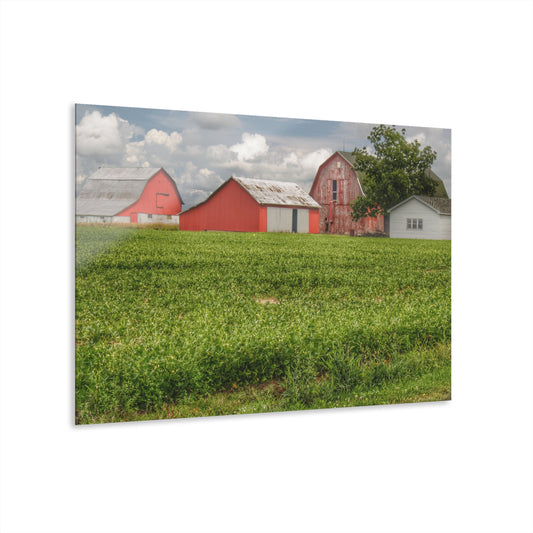 U R There Photography Roadside Trio Rustic Farmhouse Acrylic Wall Print