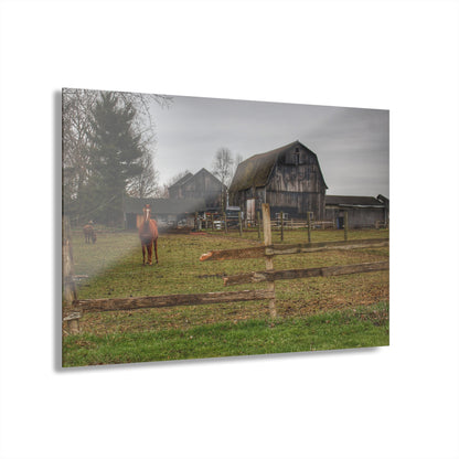 Barn Boutique Modern Farmhouse Acrylic Wall Print| South Summers Road Old Grey and Caramel II