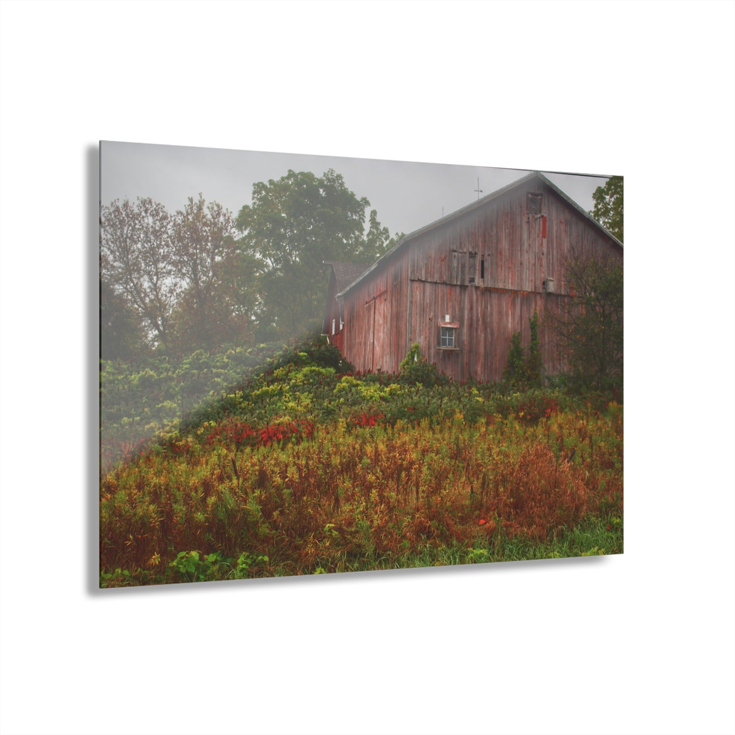 U R There Photography Washburn Roadside Reds Rustic Farmhouse Acrylic Wall Print