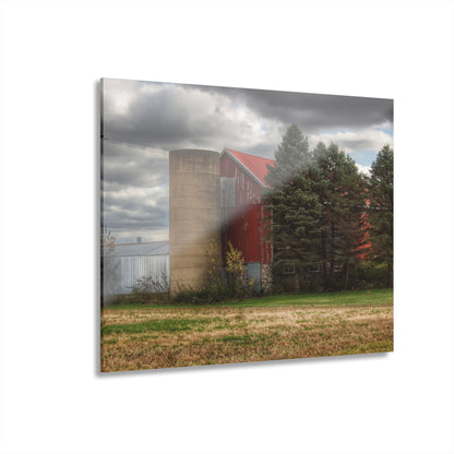 U R There Photography Laur Road Red Among the Pines II Rustic Farmhouse Acrylic Wall Print