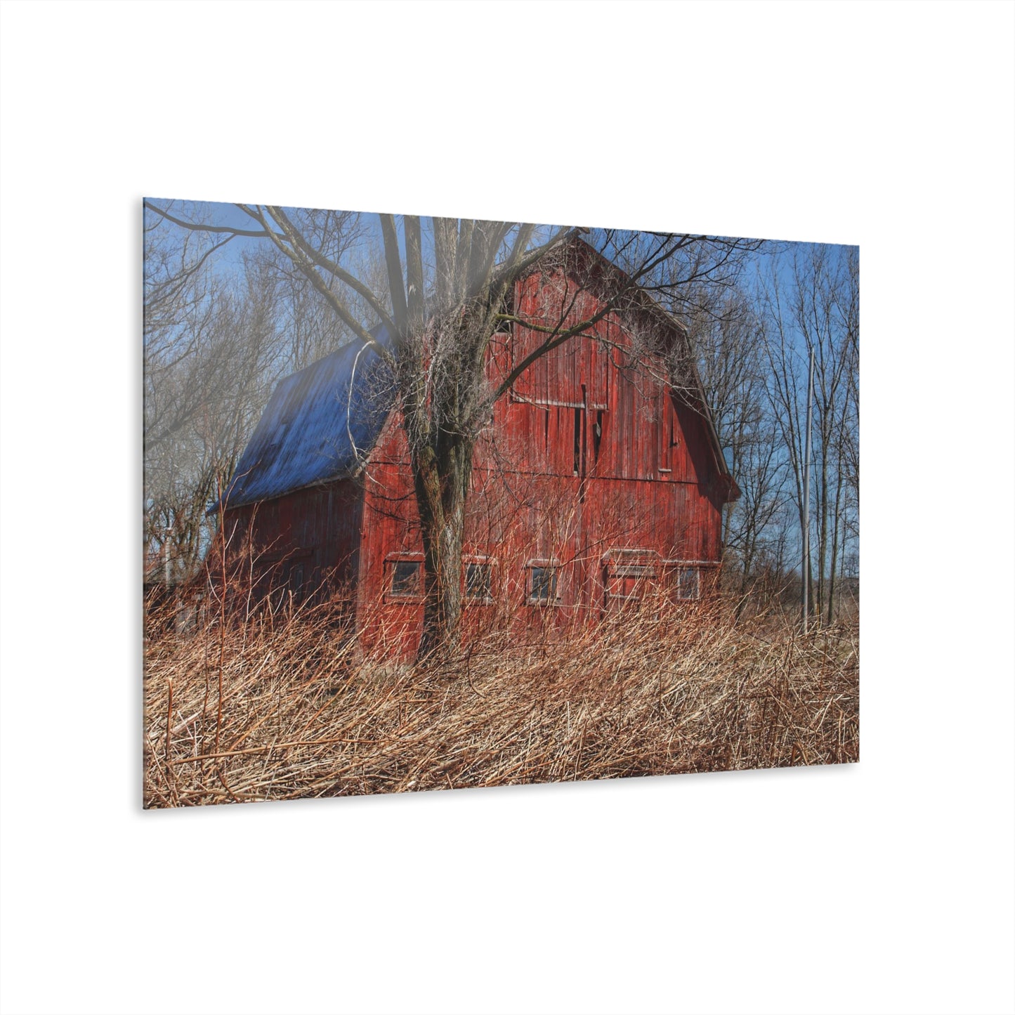 U R There Photography East Dodge Road Red Rustic Farmhouse Acrylic Wall Print