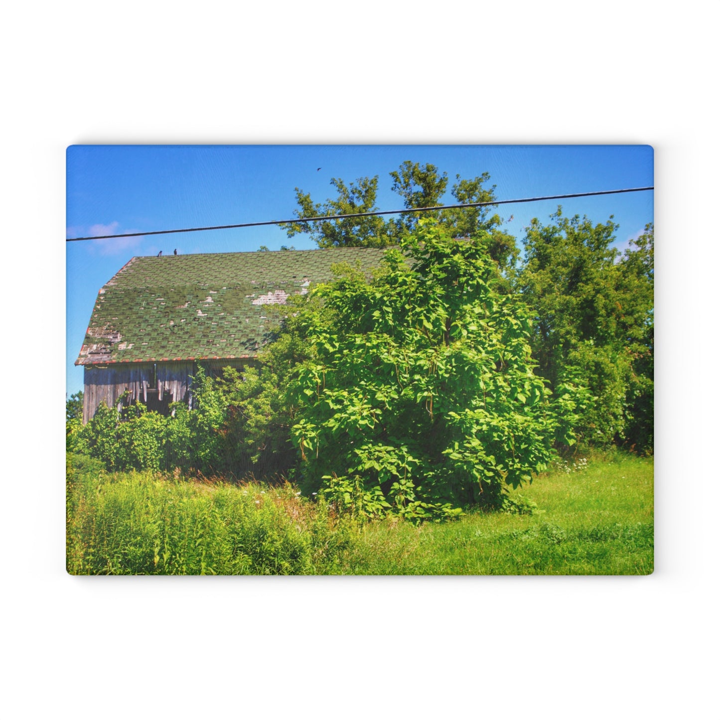 U R There Photography Hidden Grey of Hunters Creek Rustic Farmhouse Tempered-Glass Cutting Board