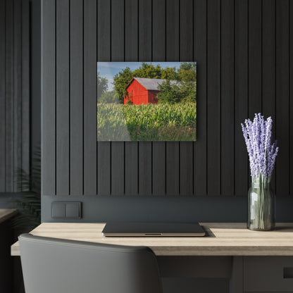 U R There Photography Willard Road Red III Rustic Farmhouse Acrylic Wall Print