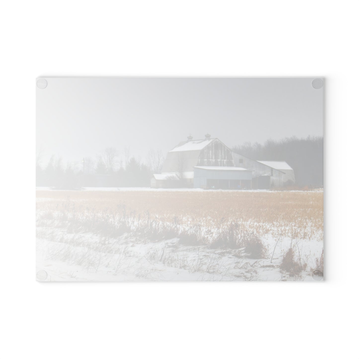 U R There Photography Argyle Road Grey Rustic Farmhouse Tempered-Glass Cutting Board