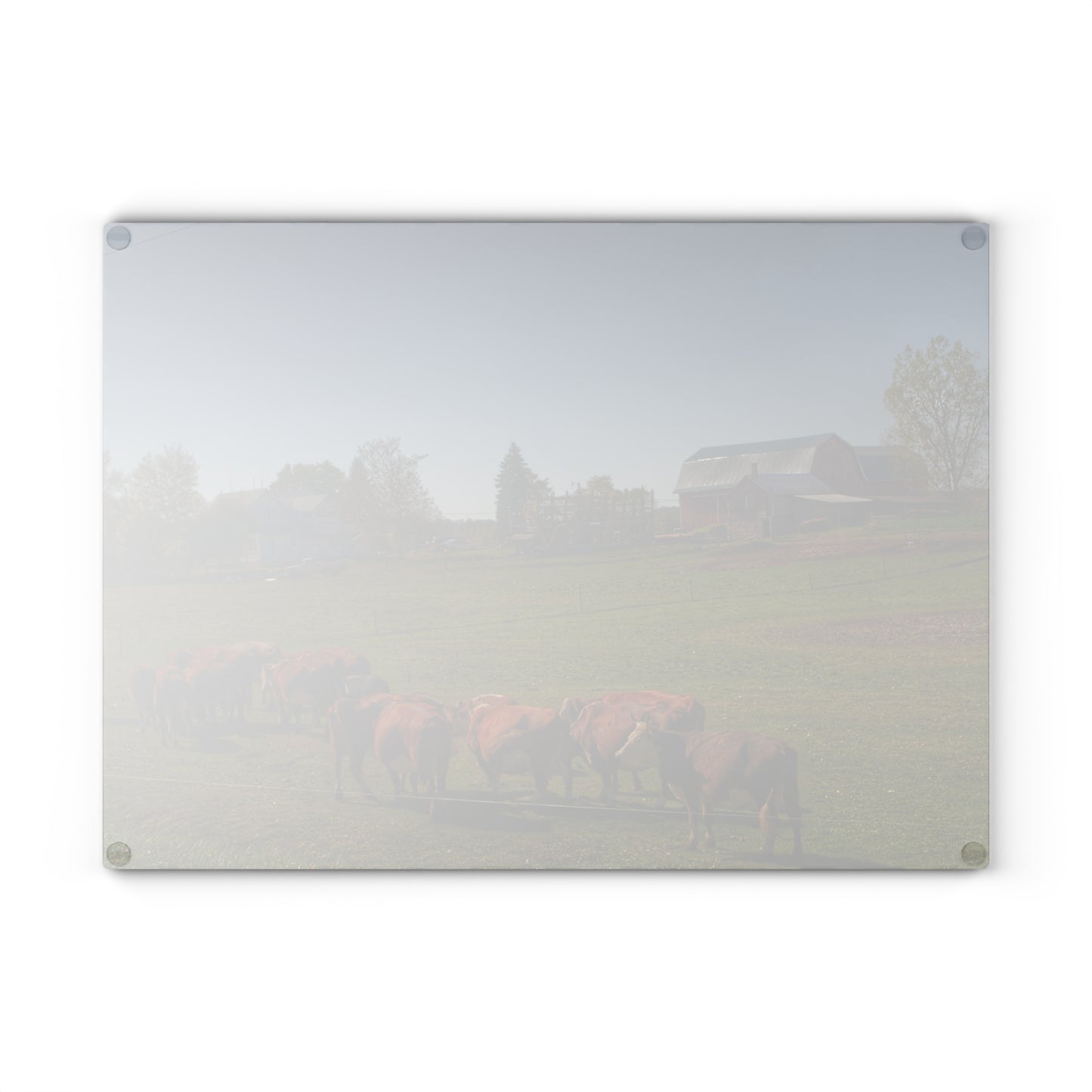 U R There Photography Plain Road Farm and Cows Rustic Farmhouse Tempered-Glass Cutting Board