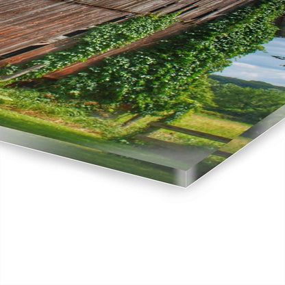 U R There Photography North Branch Ivy Grey I Rustic Farmhouse Acrylic Wall Print