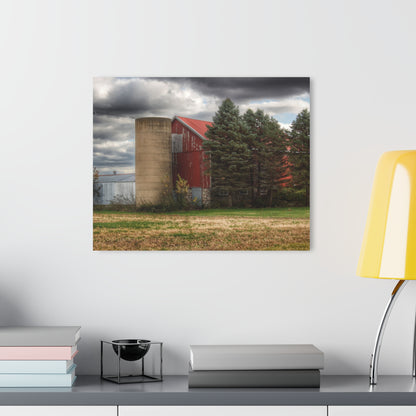 U R There Photography Laur Road Red Among the Pines II Rustic Farmhouse Acrylic Wall Print