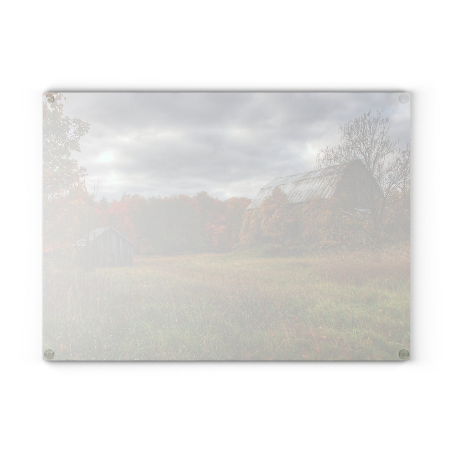 U R There Photography Church Road Grey and Little Grey Rustic Farmhouse Tempered-Glass Cutting Board