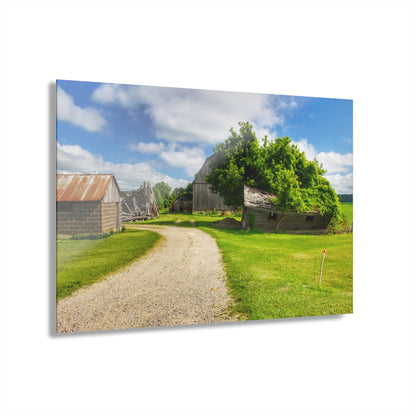 U R There Photography Brown City Road Barn and Buddy II Rustic Farmhouse Acrylic Wall Print