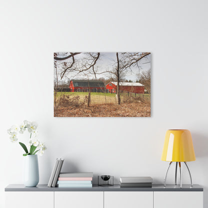 Barn Boutique Modern Farmhouse Acrylic Wall Print| Hidden Hosner Reds