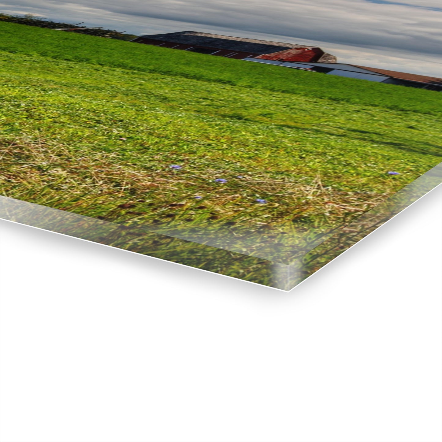 U R There Photography Across the Field in Kingston Rustic Farmhouse Acrylic Wall Print