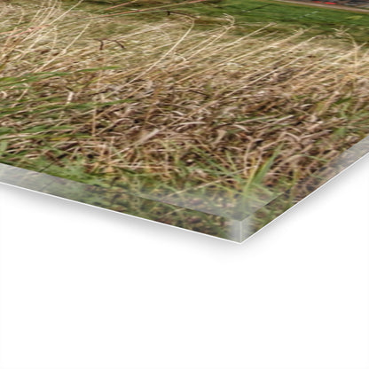 U R There Photography North Lake Road Red II Rustic Farmhouse Acrylic Wall Print