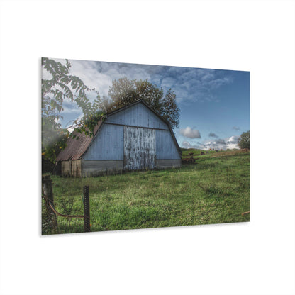 U R There Photography East Frances Quonset and Cows Rustic Farmhouse Acrylic Wall Print