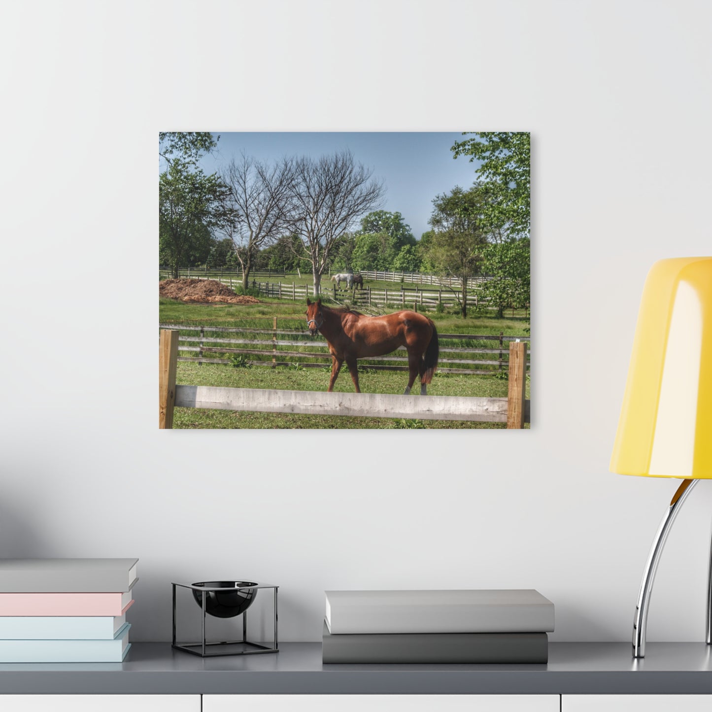 U R There Photography Summer Road Ponies Rustic Farmhouse Acrylic Wall Print