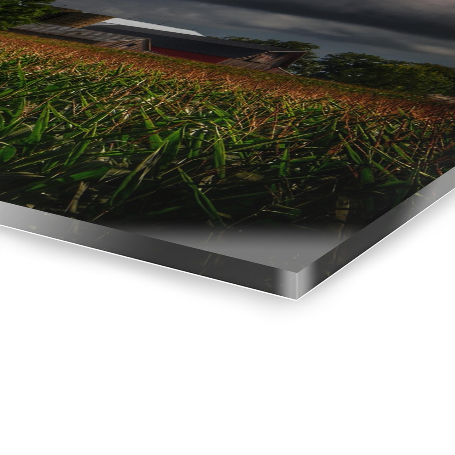 U R There Photography Bishop Road Beyond the Corn Rustic Farmhouse Acrylic Wall Print