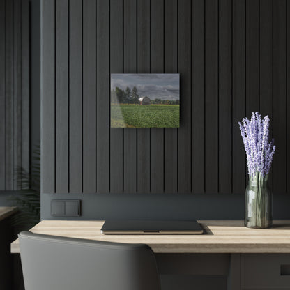 U R There Photography Belsay Grey Among the Pines Rustic Farmhouse Acrylic Wall Print
