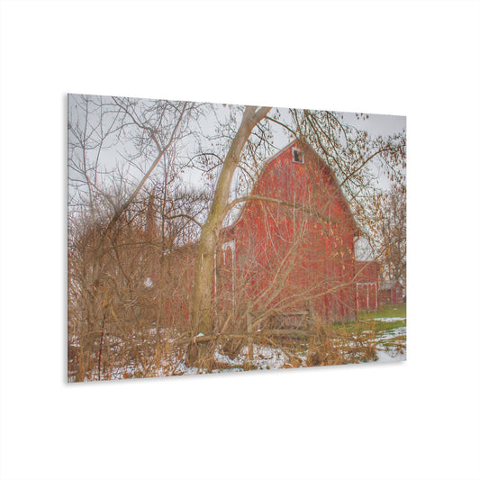 U R There Photography Holmes Road Red I Rustic Farmhouse Acrylic Wall Print