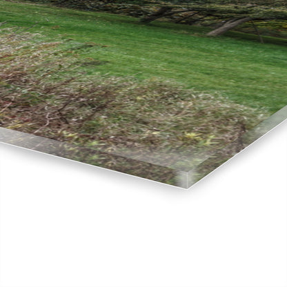 U R There Photography Grey Shack of Elmwood Rustic Farmhouse Acrylic Wall Print