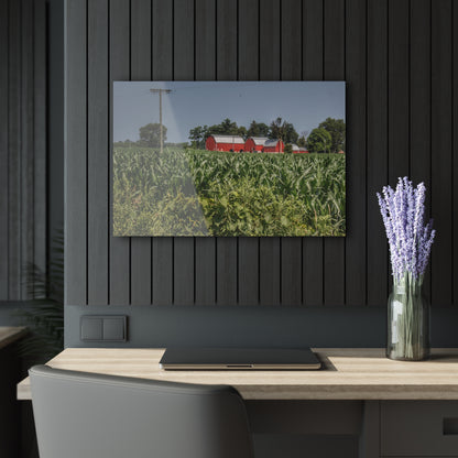 U R There Photography Shoemaker Road Reds Beyond the Corn Rustic Farmhouse Acrylic Wall Print