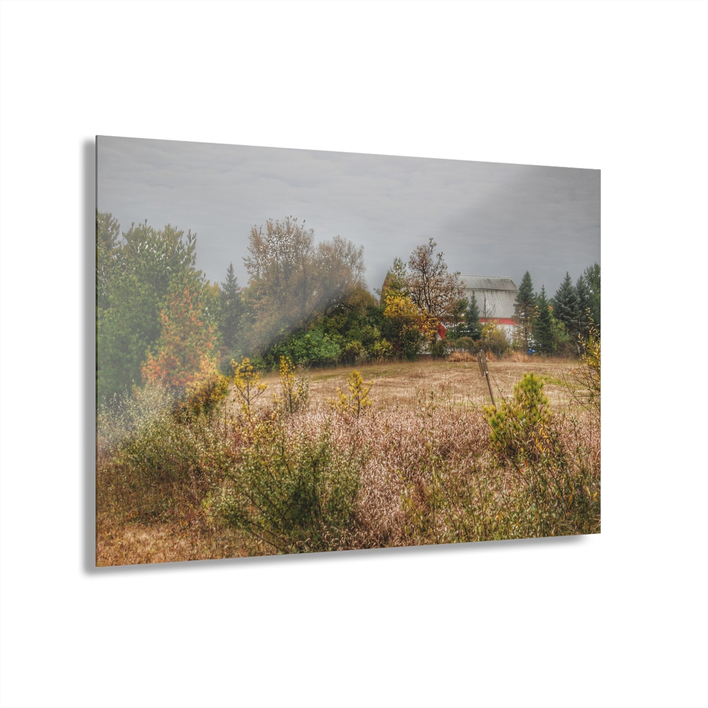 U R There Photography Hadley Road Hidden Red in Fall Rustic Farmhouse Acrylic Wall Print