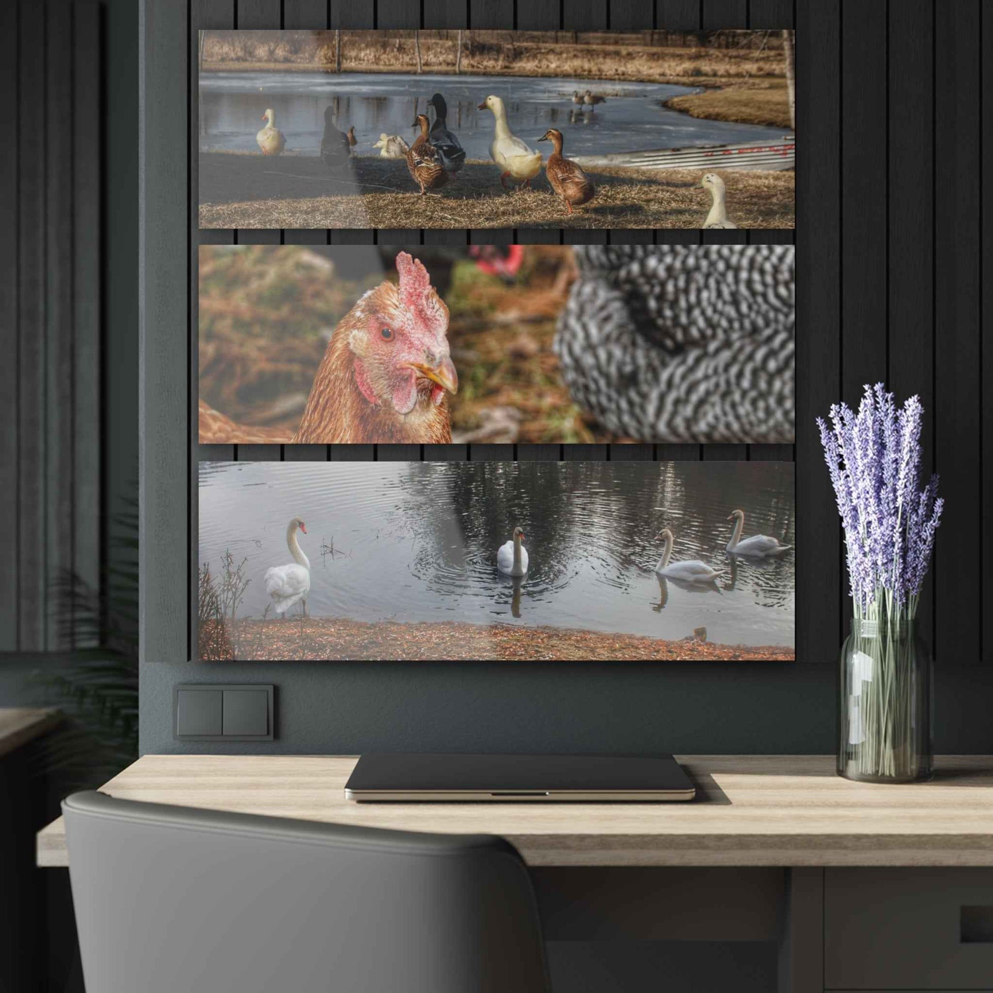 U R There Photography Something A Fowl Rustic Farmhouse 3-Panel Acrylic Wall Print