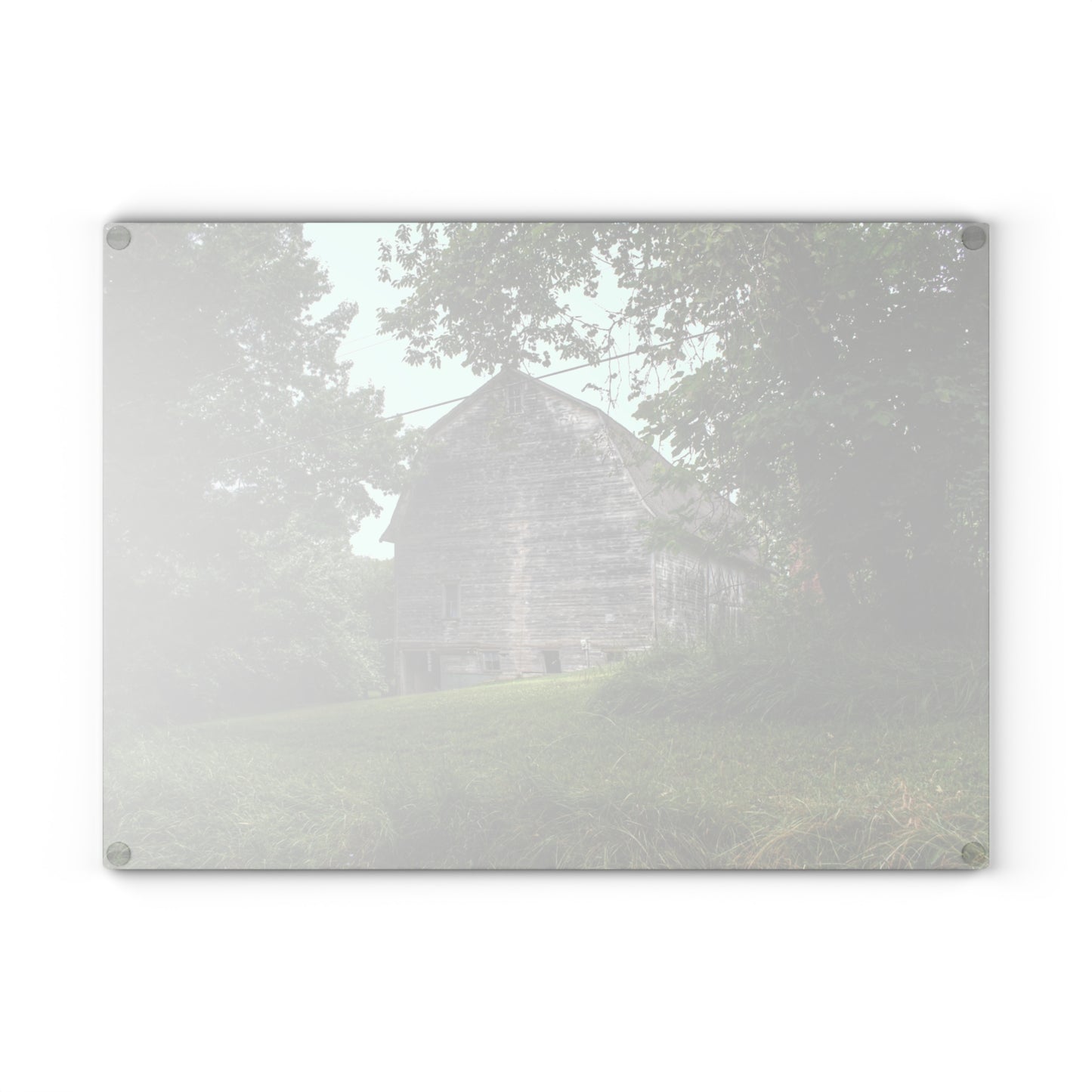 U R There Photography Snell Grey Rustic Farmhouse Tempered-Glass Cutting Board