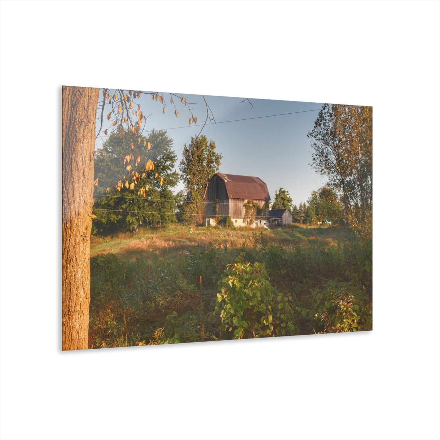 U R There Photography Swaffer Road Little Grey Rustic Farmhouse Acrylic Wall Print