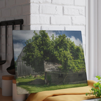U R There Photography Brown City Road Barn and Buddy I Rustic Farmhouse Tempered-Glass Cutting Board