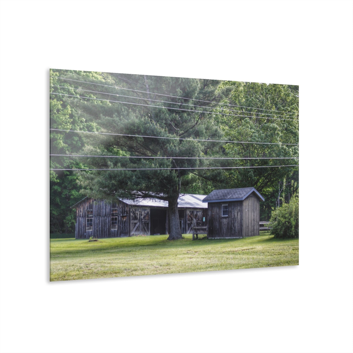 U R There Photography Leonard Road Roadside Greys Rustic Farmhouse Acrylic Wall Print